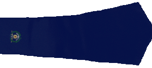 Image de la cravate de l'EAMEA