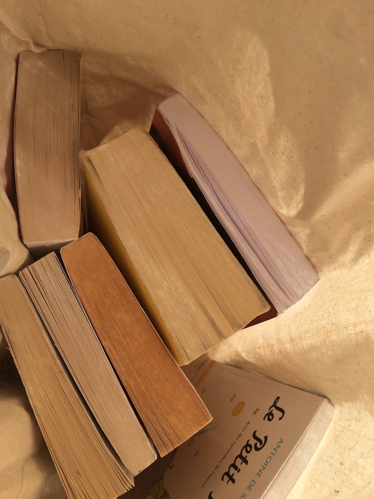 An overhead view of a collection of books laid out on a fabric surface.