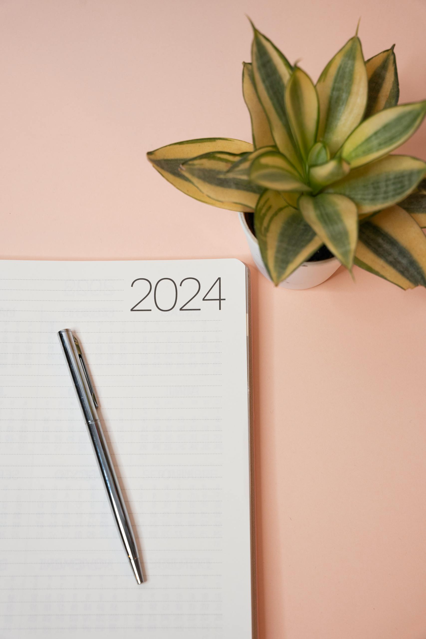 Minimalist 2024 planner with pen and indoor plant on a peach-colored background for productivity inspiration.