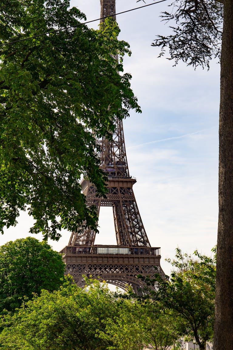View of the Eiffel Tower through lush greenery in Paris, France, creating a serene cityscape.